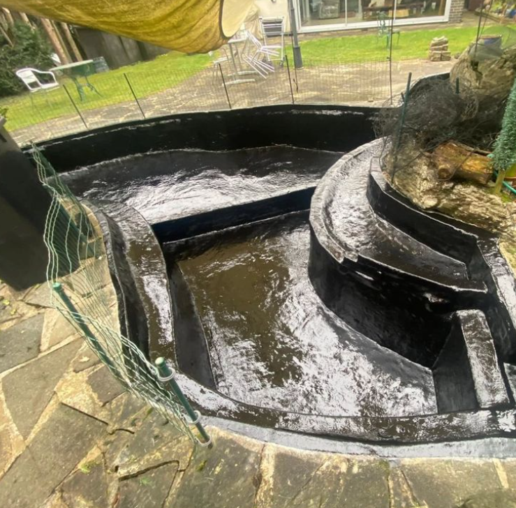 Pond Guy: Your Expert Partner for Pond Success