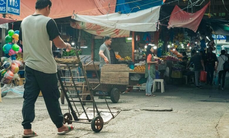 stellar horizon market analysis