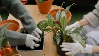 new gardening product x benefits
