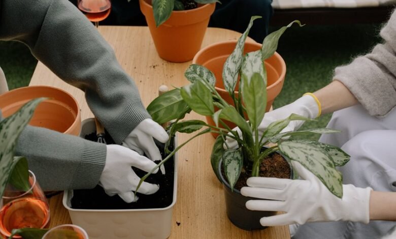 new gardening product x benefits